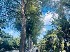 -长春市南湖公园