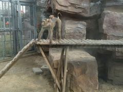 -临沂动植物园