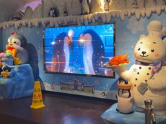 -帝企鹅自助餐厅•儿童岛•真企鹅(长隆企鹅酒店)