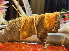 -二荆条·蜀鲜汇城市森林火锅