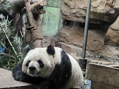 -成都动物园