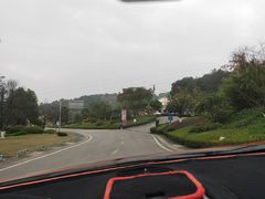 -铁山坪森林公园