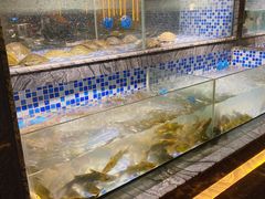 海鲜档-喜庭海鲜自助(北辰三角洲北辰荟店)