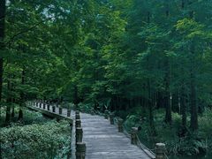 -桤木河湿地公园