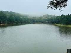 -南京市无想山景区