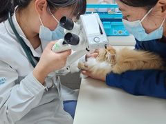 -谐和贝康宠物医院24小时·宠保定点(急重症转诊中心)