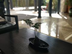 -蓝楹湾度假酒店