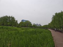 -西海子公园