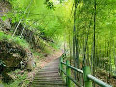 -藏龙百瀑风景区