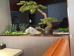 大堂-蝎王府羊蝎子(西直门店)