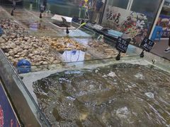-87号烧烤海鲜·大排档(金沙滩店)