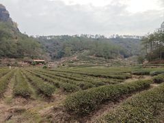 -武夷山风景名胜区-虎啸岩