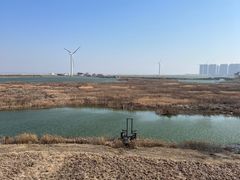 -启东黄金海滩景区