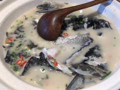 -老傅家湘潭水煮活鱼店(众一国际店)