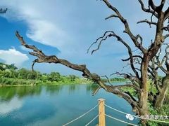 -鹤之洲湿地公园