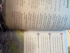 -I-Shine英语国际教育(大三林中心)