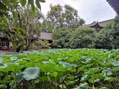 -成都武侯祠博物馆