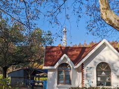 -上海共青森林公园