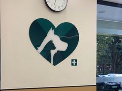 -瑞派康怡24h宠物医院·犬猫医疗中心·微创绝育(瑞景分院)