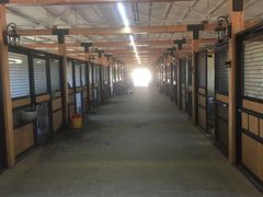 -北京群众马术培训基地
