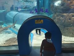 -福州罗源湾海洋世界旅游区