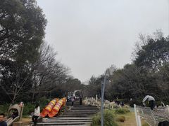 -杭州少年儿童公园