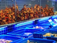 水产区-必点海鲜·鲅鱼水饺(鞍山西道店)