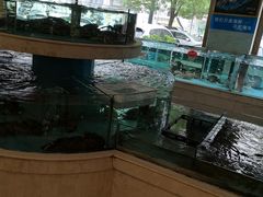 -香融府·烤鸭·家常菜(马家堡路店)