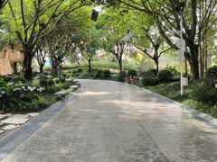-成都欢乐谷