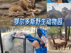 -鄂尔多斯野生动物园
