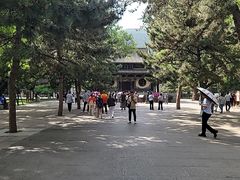 -晋祠博物馆