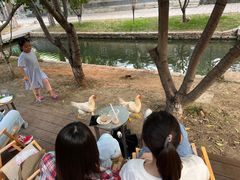 -春风习习