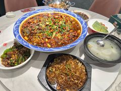 -新概念来凤鱼(璧山店)