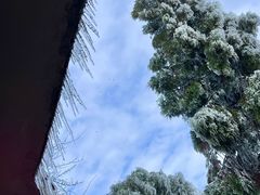 -江西阳明山国家森林公园