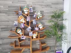 -思琪宠物医院(昆山花桥店)