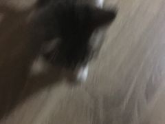 -不止轰趴桌游麻将台球(立水桥店)