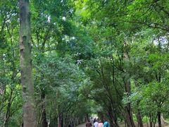 -灵谷景区