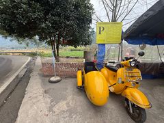 -遇龙河大樟树农家乐