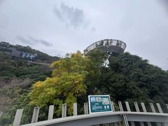 -福道