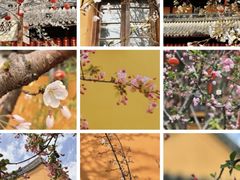 -龙华寺