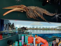 -瑞普利水族馆