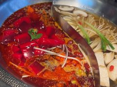 -辣伍鲜毛肚老火锅(元一店)