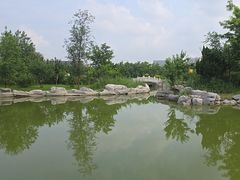 -绿岛公园(滨海新区)