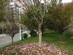 -如轩·海鲜砂锅粥·潮汕菜(海珠店)