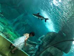 -福州罗源湾海洋世界旅游区