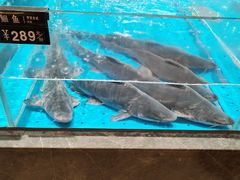 -艳阳天·非遗楚菜(武汉客厅店)