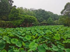 -富乐山