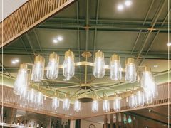 -胜博殿霸王树(嘉里中心店)