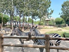 -大连森林动物园