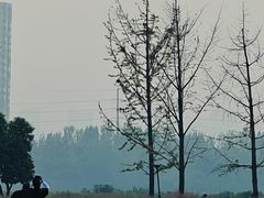 -汉长安城未央宫国家考古遗址公园